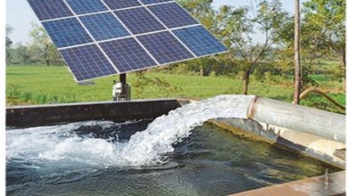 Solar Water Plant Project Envisaged for Cholistan,Pakistan