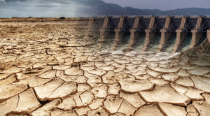 tarbela dam dead level