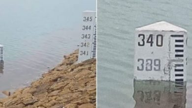 Water Level