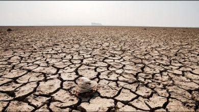 #ClimateChange Made 2022 Summer's Drought at least 20 Times More Likely