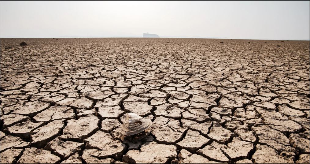 #ClimateChange Made 2022 Summer's Drought at least 20 Times More Likely