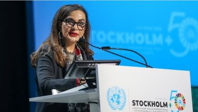 Pakistani Journalist Lauds Efforts of Pakistan’s Climate Ministry at COP27 3