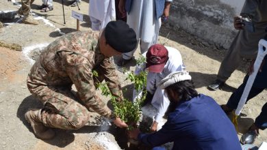 Green Waziristan