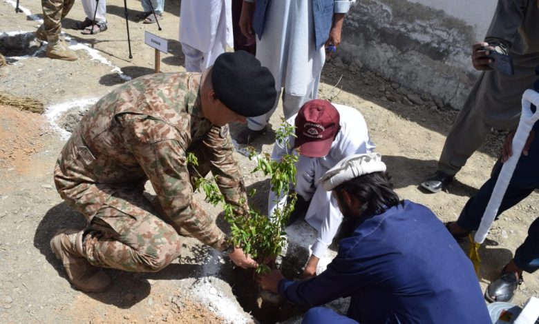 Green Waziristan