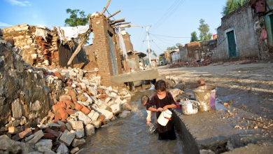 Some 1.4 million houses were destroyed by climate change