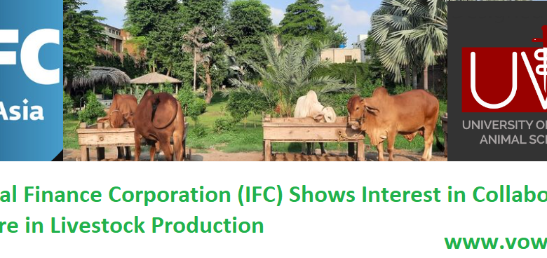 International Finance Corporation (IFC) shows interest in collaboration with UVAS in livestock production