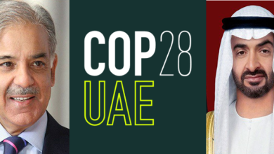 #COP28, Pakistan Prime Minister Lauds UAE’s Role in Combating Climate Change