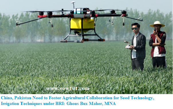 China, Pakistan Need to Foster Agricultural Collaboration in Seed and Irrigation Technology Says Ghous Bux Maher