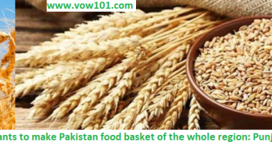 Government wants to make Pakistan food basket of the whole region Says Punjab Governor