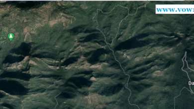 Heavy Fumes of Vehicular Emissions Damaging the Nature of Margalla Hills National Park, reports CDA