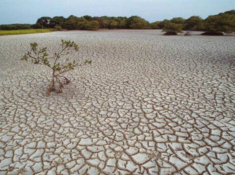 A dried-up riverbed highlighting Pakistan’s severe water crisis