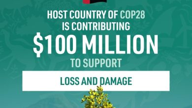 #COP28 climate change resilience funds
