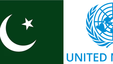 Pakistan Flag UN logo