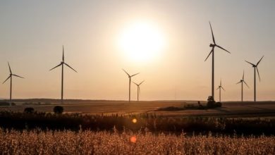 Getting wind turbines on grid