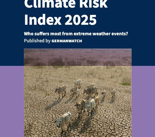 Pakistan Climate Risk Index 2025