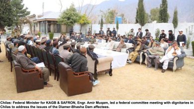 Special Committee Vows to Address Issues of Bhasha Dam Affectees