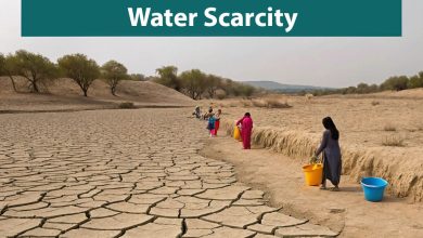 Pakistan Water Crisis - Dry Riverbed Indicating Water Scarcity