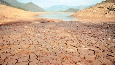 Tarbela, Mangla Dams Near Dead Level: IRSA Warns of Severe Water Shortage