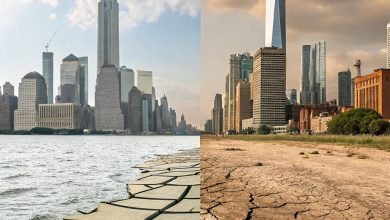 Shocking Study Reveals Rising Flood and Drought Risk in Global Cities