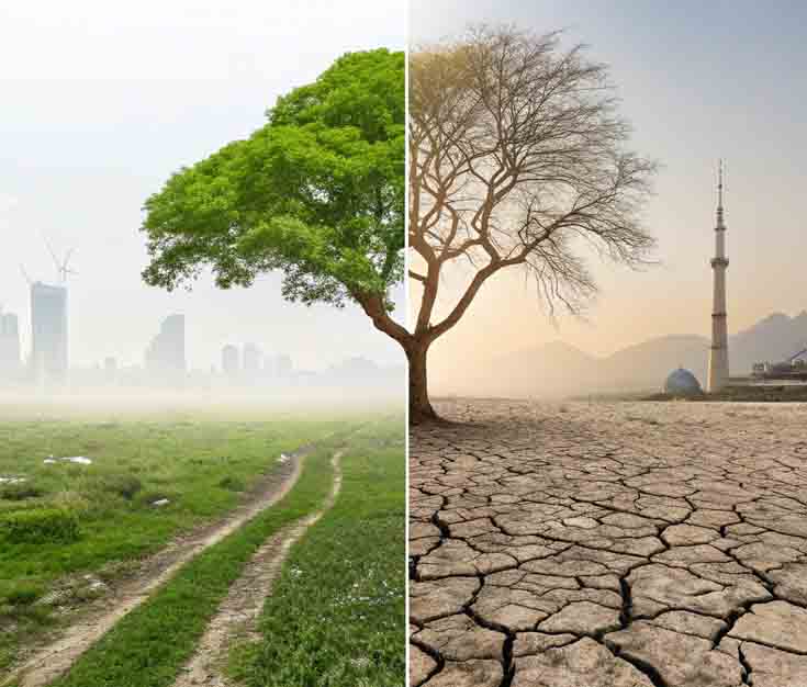 Green or Gone? Our Carbon Challenge in Pakistan