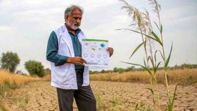Expert Warns: Severe Irrigation Water Shortages to Threaten Yields in Pakistan