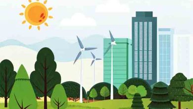 Pakistan’s Climate Imperative: 7 Bold Actions to Tackle the 2025 Heat Crisis