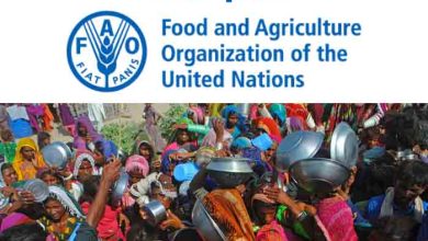 Acute Food Insecurity in Pakistan Soars Due to Climate Crisis | FAO