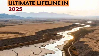 Critical Water Alert: Why the Indus Waters Treaty Is Pakistan’s Ultimate Lifeline in 2025