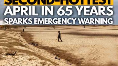 Pakistan’s Climate Crisis: Second-Hottest April in 65 Years Sparks Emergency Warning