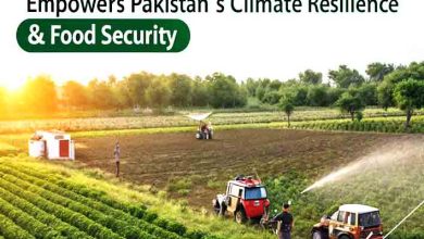 Top 10 Ways AI-Driven Farming Empowers Pakistan’s Climate Resilience & Food Security