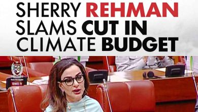 Budget Blow to Climate Action: Sherry Rehman Slams Cut in Climate Budget