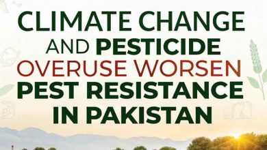 Climate Change and Pesticide Overuse Worsen Pest Resistance in Pakistan