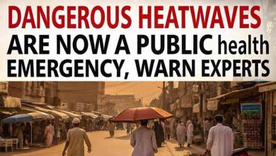 Dangerous Heatwaves Are Now a Public Health Emergency, Warn Experts