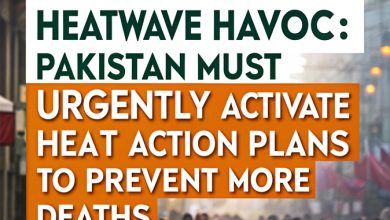 Heatwave Havoc: Pakistan Must Urgently Activate Heat Action Plans to Prevent More Deaths