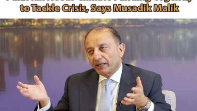 Pakistan Needs Climate Funding Urgently to Tackle Crisis, Says Musadik Malik