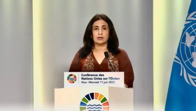 Urgent Plea: Pakistan Urges Global Action to Protect Oceans at UN Conference