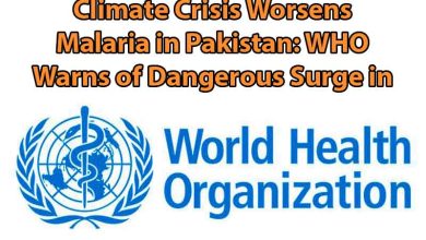 Climate Crisis Worsens Malaria in Pakistan: WHO Warns of Dangerous Surge in Cases