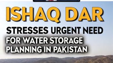 Dire Warning: Ishaq Dar Stresses Urgent Need for Water Storage Planning in Pakistan
