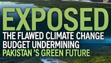 Exposed: The Flawed Climate Change Budget Undermining Pakistan’s Green Future