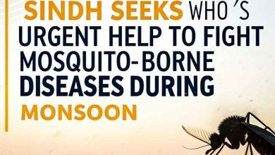 Deadly Surge: Sindh Seeks WHO’s Urgent Help to Fight Mosquito-Borne Diseases During Monsoon