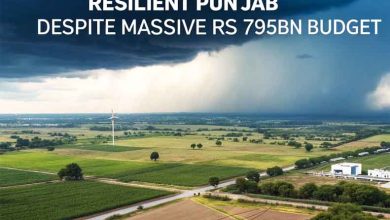 Unclear Future for Climate Resilient Punjab Despite Massive Rs795bn Budget Boost