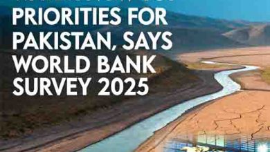 Climate Change and Water Now Top Priorities for Pakistan, Says World Bank Survey 2025 10 Climate Change and Water Now Top Priorities for Pakistan, Says World Bank Survey 2025