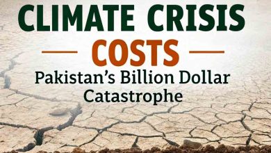 Climate Crisis Costs: Pakistan's Billion-Dollar Catastrophe