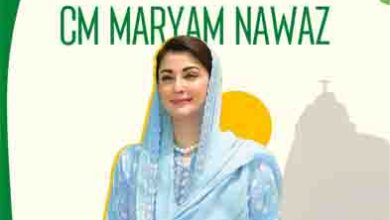 CM Maryam reaches Brazil to attend global COP30 Conference — 7 Remarkable Positive Milestones for Punjab’s Climate Transition