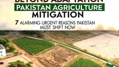 Beyond Adaptation Pakistan Agriculture Mitigation — 7 Alarming Urgent Reasons Pakistan Must Shift Now