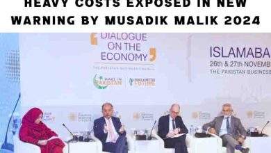 Climate Inaction Crisis: Heavy Costs Exposed in New Warning by Musadik Malik 2024