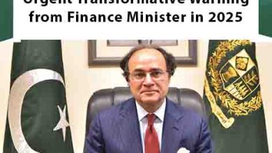 Existential Issues Pakistan Faces: Urgent Transformative Warning from Finance Minister in 2025