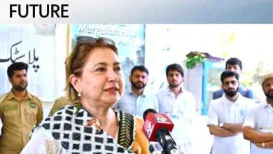 Islamabad Demands Urgent, Predictable Climate Financing to Safeguard Its Future