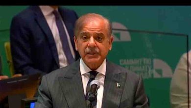 Pakistan Prime Minister’s Comprehensive Plan for Climate Change Conference COP30 – 5 Bold Shocking Reasons This Transformative Strategy Matters