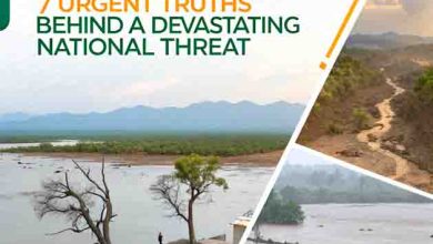 Pakistan and climate change: 7 Urgent Truths Behind a Devastating National Threat